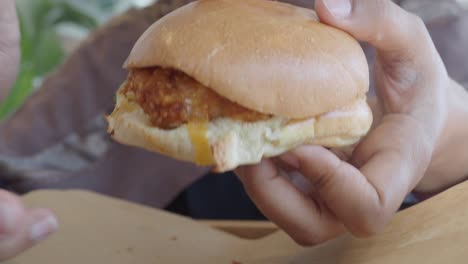 person holding a delicious chicken burger