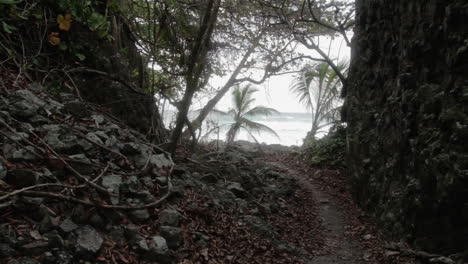 beautiful trail at colombian caribbean coast by capurgana and the darien gap