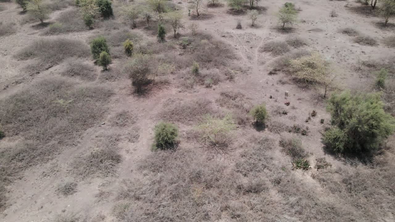 vuelo de drones sobre un paisaje africano con arbustos