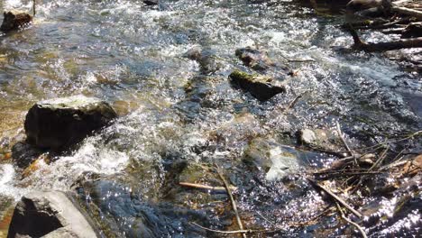 river flowing with pieces of trash in it