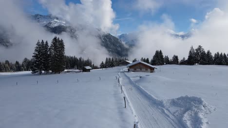 fir trees and small cottages on snowy mountain slope in winter