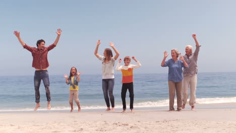 smiling family is jumping