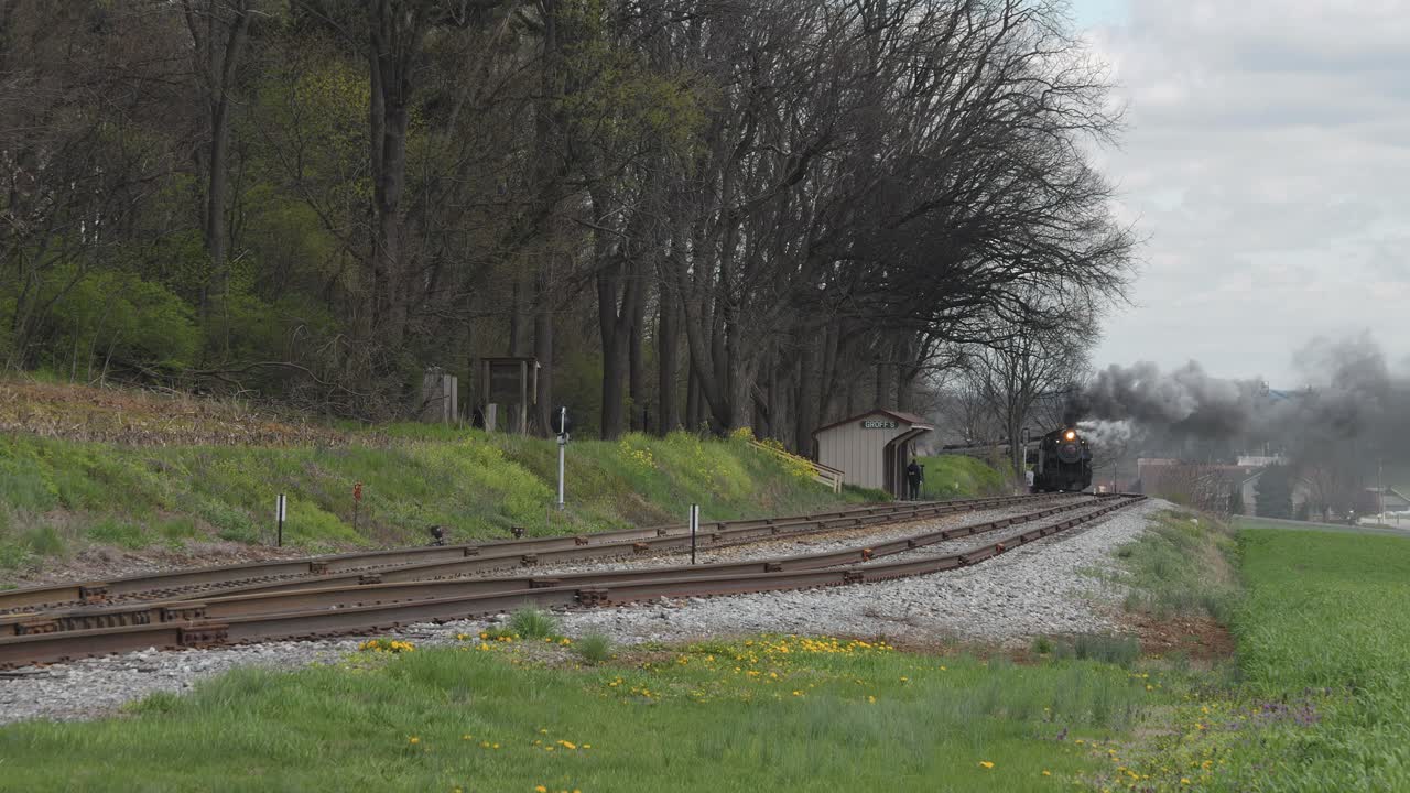 A steam train chugs along the railway, passing through lush green fields and tall trees. The rustic setting adds charm to the journey as it moves past a small station