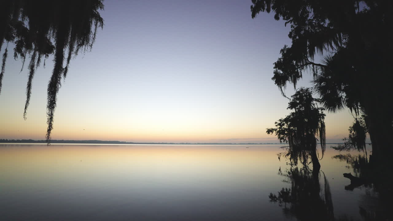 Cypress Tree Moss Lake Dawn Landscape 3