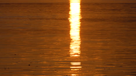 bright sunrise reflection on calm ocean water creating a glowing vertical light path