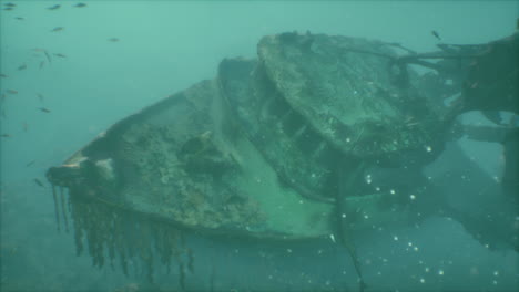 underwater shipwreck