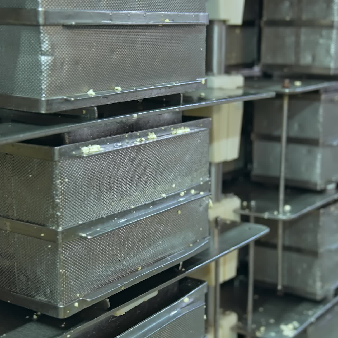 Special containers for new cheese