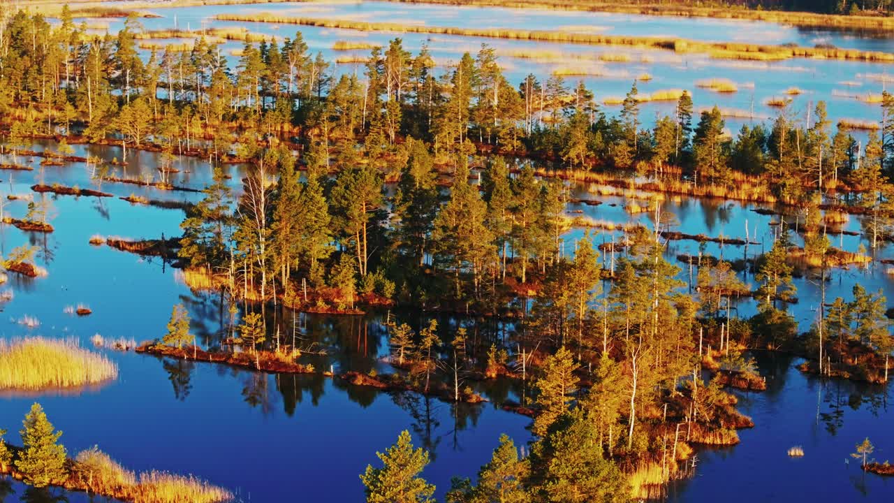 Colorful swamp landscape with islands and trees in evening light in Latvia