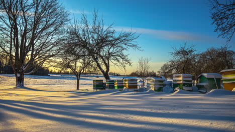 day time lapse showing tree shadows move over snow landscape with beehives