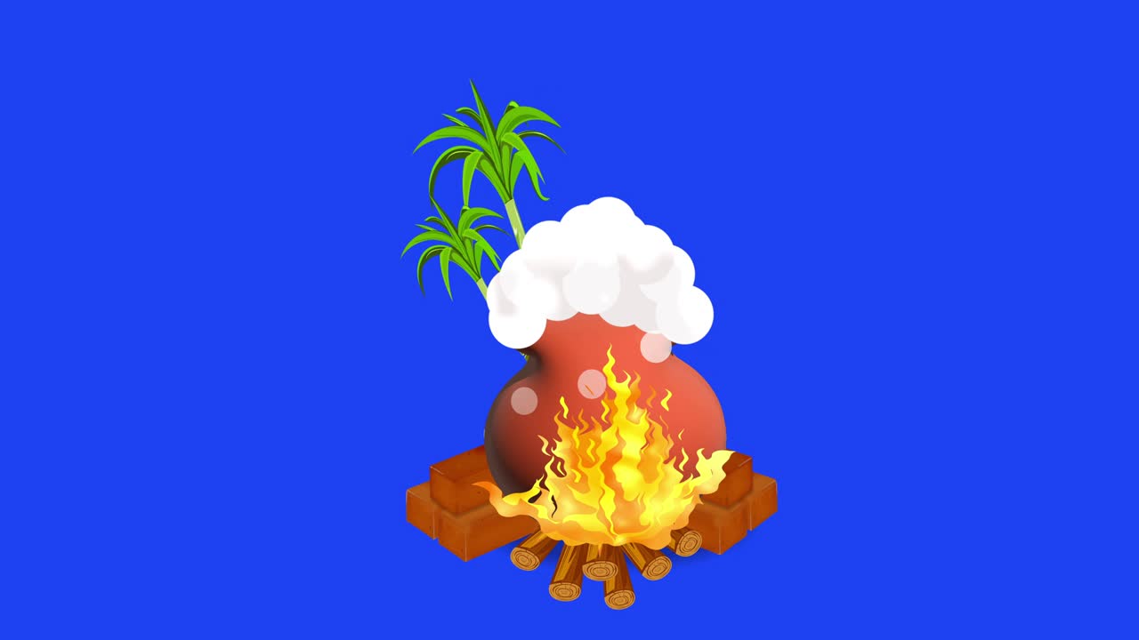 feliz pongal festival olla y caña de azúcar en en pantalla azul. se puede usar para felicitaciones de pongal feliz. animación con pantalla azul canal alfa. 4k