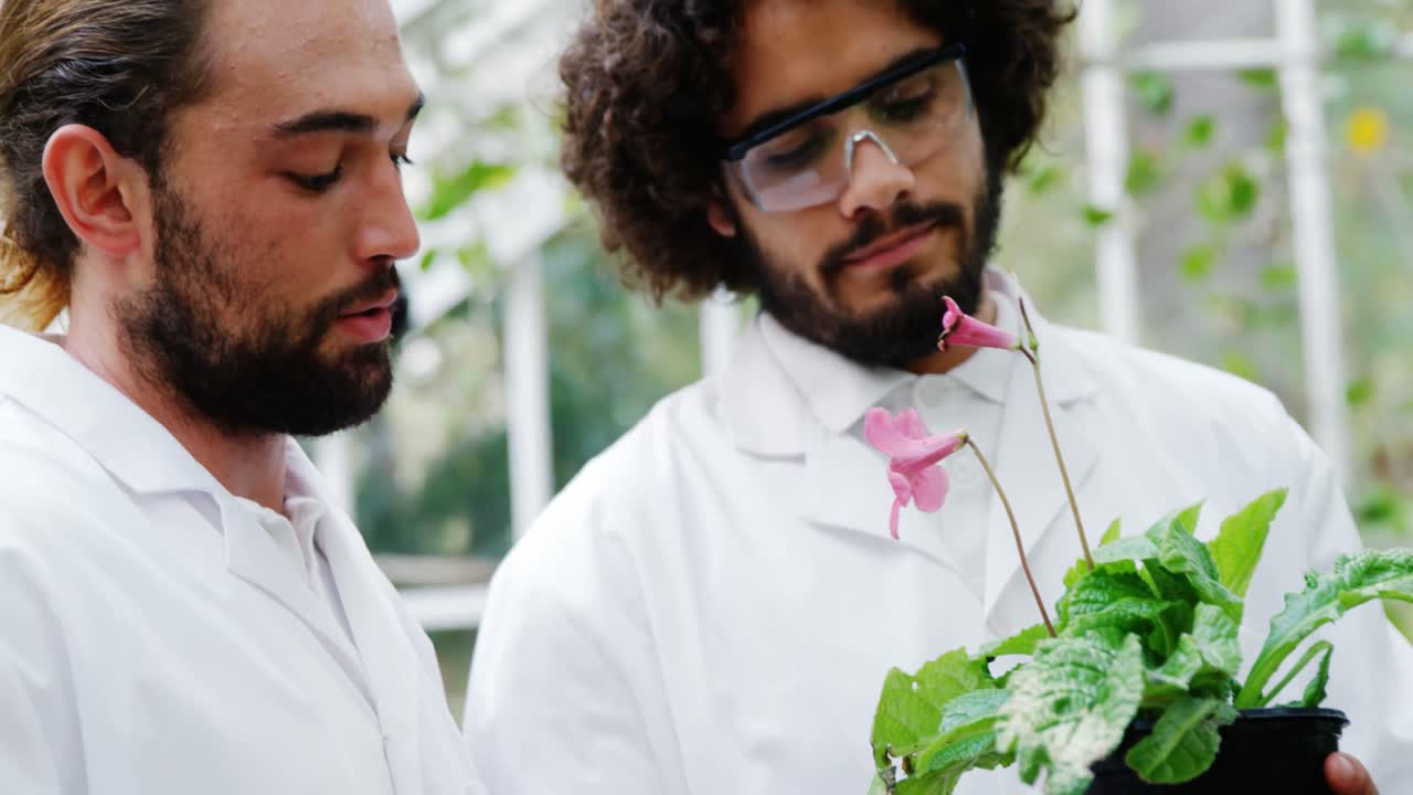 hombres examinando plantas en maceta