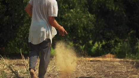 famer seeding cucumber field by hand long-shot slow motion 4k