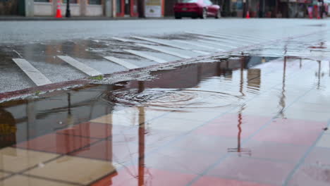reflejo de vehículos en charcos en la acera