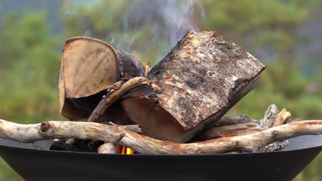 hoguera ardiendo lentamente dentro de una sartén de metal en un viaje de campamento en la naturaleza - estática de cierre de trozos de madera quemados con naturaleza borrosa en el fondo