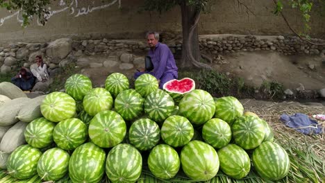 Countryside-Watermelon-Shop