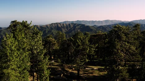 Beautiful-aerial-over-the-Pine-Mountain-wilderness-and-trees-slated-to-be-logged-and-habitat-removed-2