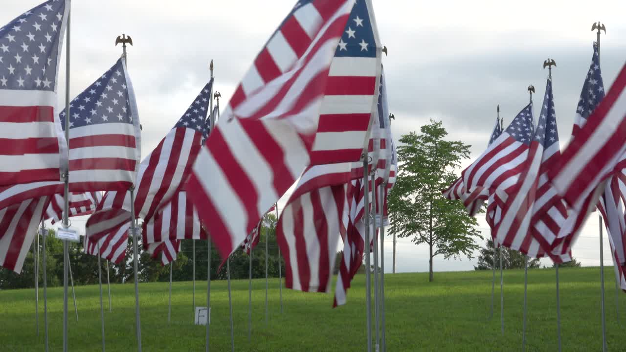 Many American Flags Waving in a Green Field on a Cloudy Day