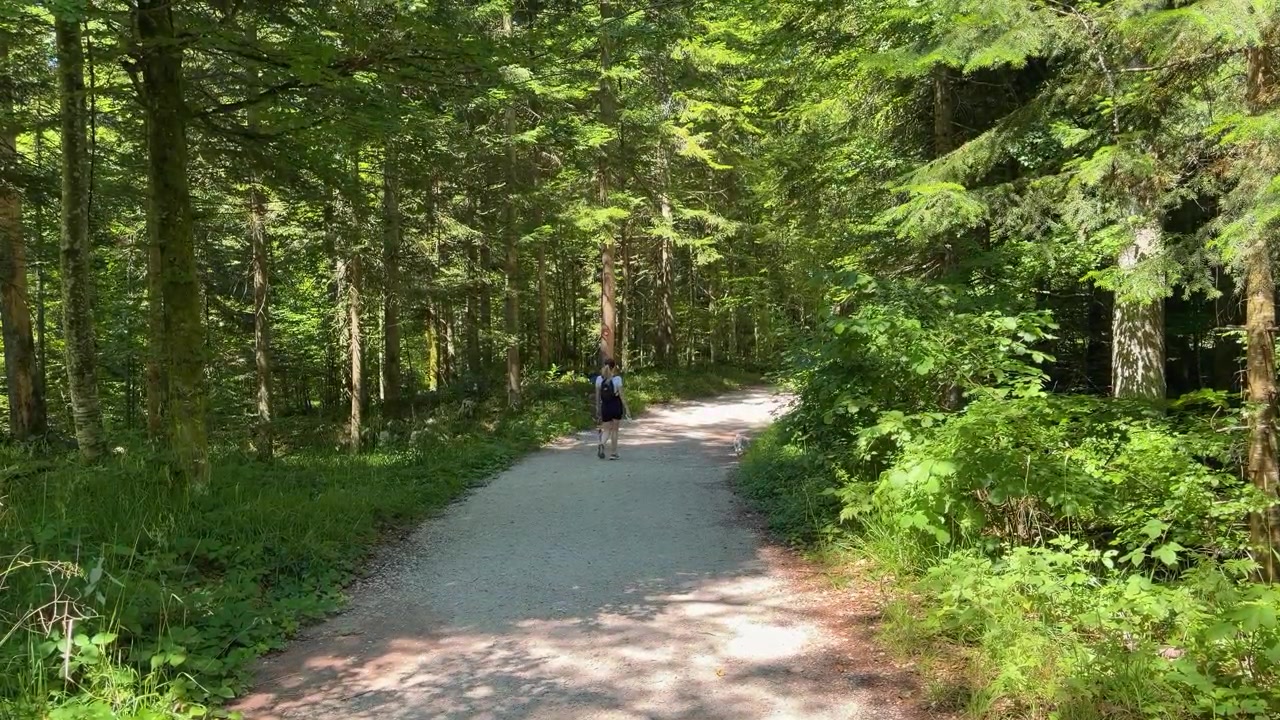 A woman with a backpack and a small dog walk away on a gravel forest road toward Banjska Stena viewpoint, surrounded by dense trees on Tara Mountain in Serbia.
