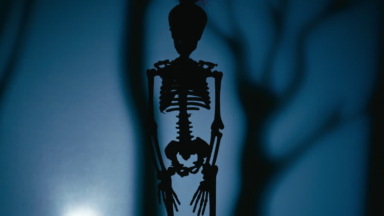 Hanging skeleton silhouette on gloomy Halloween night
