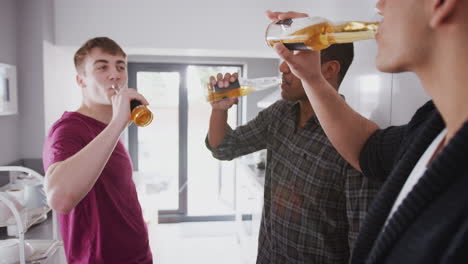 grupo de estudiantes universitarios en la cocina de la casa compartida bebiendo cerveza y haciendo un brindis juntos