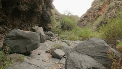 Remote-rocky-ravine-with-green-shrubs-and-grass-in-South-Tenerife-rural-landscape-in-spring,-Canary-Islands