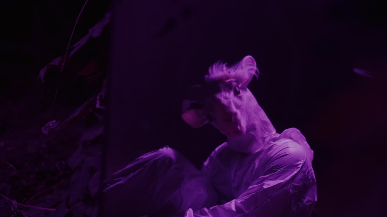 Sagoma Misteriosa di Capra nella Luce Viola