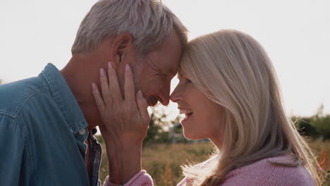 Loving-Mature-Couple-In-Countryside-Hugging-Against-Flaring-Sun