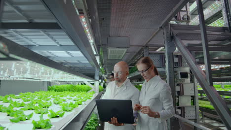 grupo de científicos modernos científico de biotecnología en traje blanco con tableta para trabajar jardín de verduras hidropónicas orgánicas en el invernadero