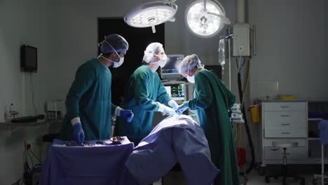 Video-Von-Verschiedenen-Männlichen-Assistenten-Und-Weiblichen-Chirurgen,-Die-Einen-Patienten-Im-Operationssaal-Operieren