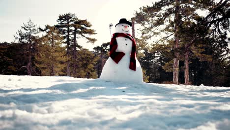 snowman in snow covered park on a sunny winter day