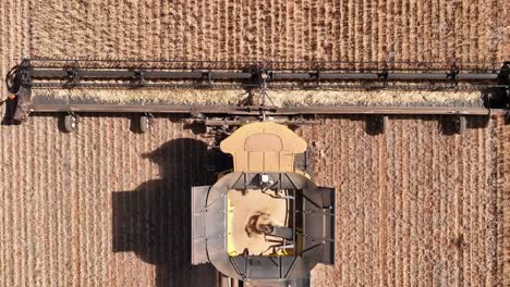 this footage captures the synergy of modern agricultural technology, showcasing the essential role of header fronts in the wheat harvesting process