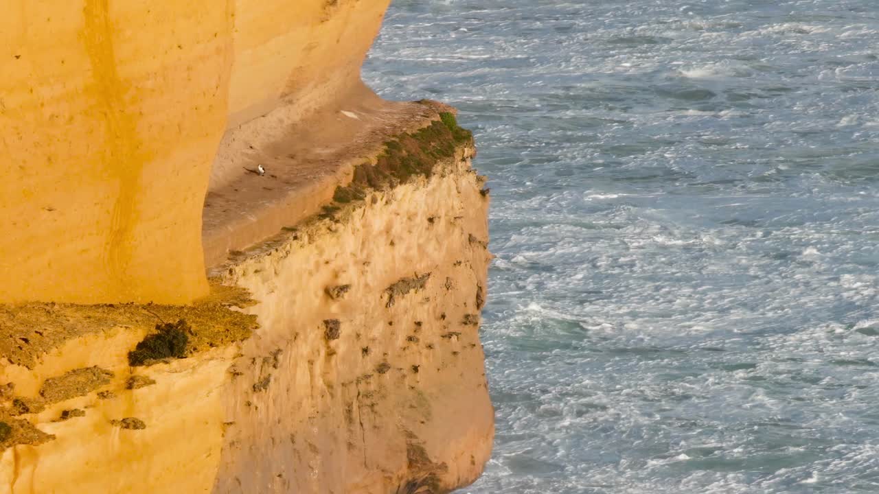 Detailed view of limestone cliffs with waves crashing below, showcasing natural erosion and rugged beauty.
