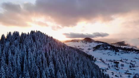 Sonnenuntergang-über-Weißem-Bergkiefernwald-Und-Landschaft---Luftabstieg