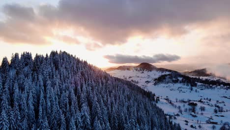 sunset over white mountain pine forest and landscape -aerial descend