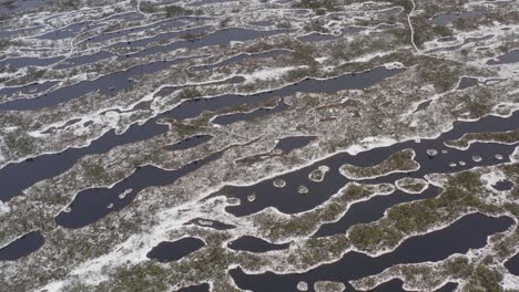 the hiking trail through the snowy swap in latvia - aerial