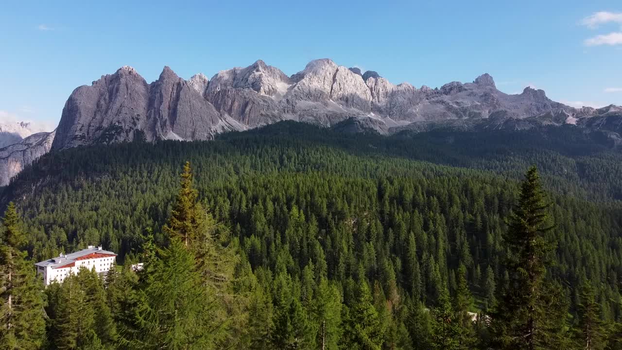 volando muy cerca de la cima de un pino con dolomitas en el horizonte