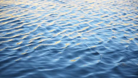 ripples in sea at golden hour