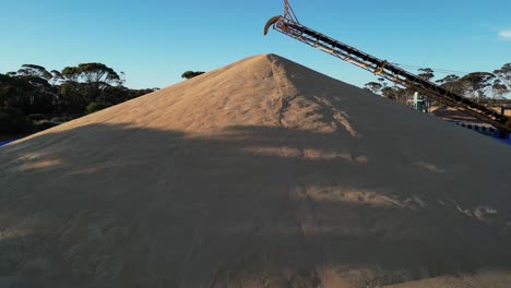 big pile of grain in storage and distribution center, industry in western australia