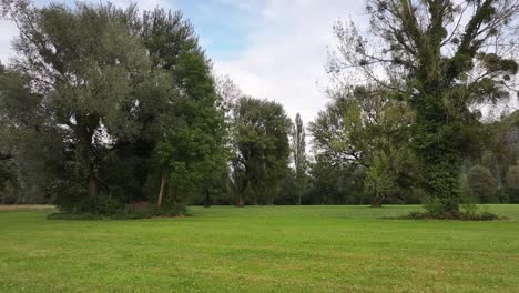 evergreen plains and dense trees at the serene park in switzerland