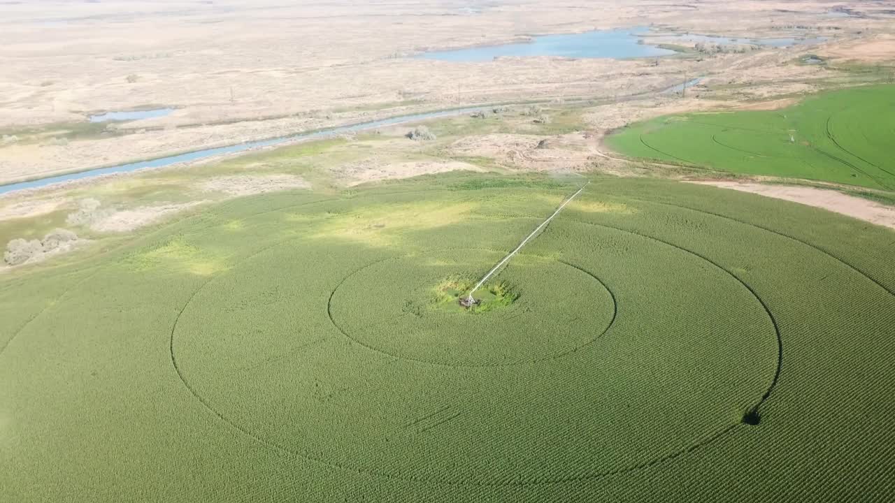 vista aérea de campos de maíz con sistemas de riego de pivote central en la cuenca de columbia del estado de washington oriental a fines del verano