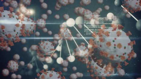 Animation-Von-Zellen-Des-Coronavirus,-Die-Sich-über-Einen-DNA-Strang-Ausbreiten,-Der-Sich-Auf-Blauem-Hintergrund-Dreht.