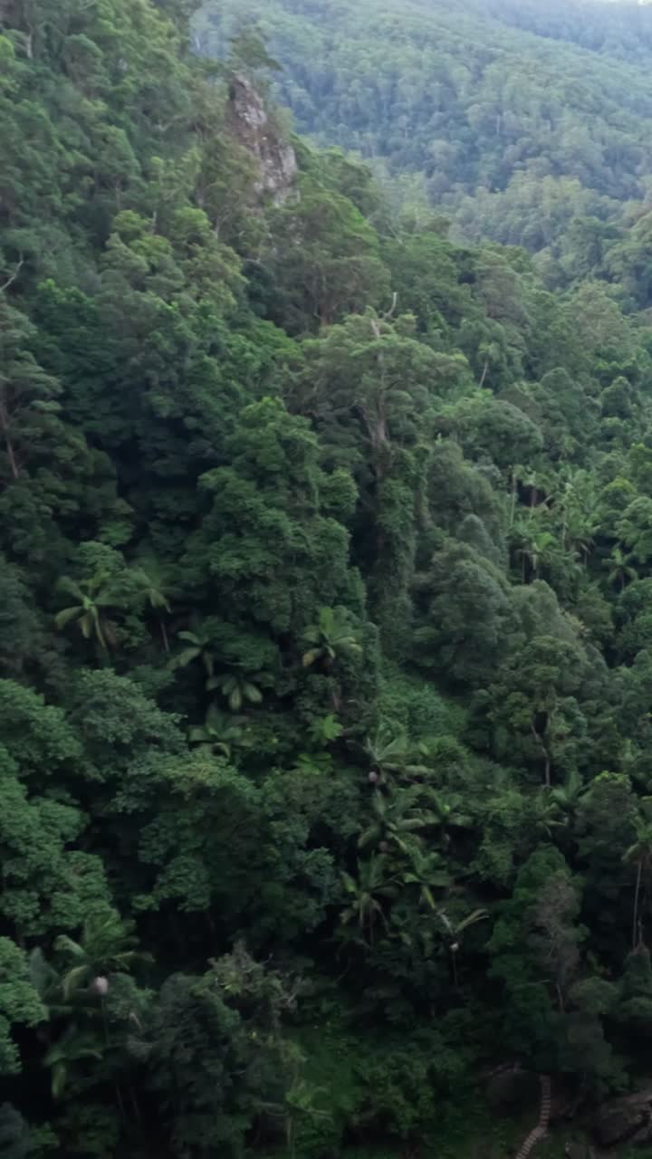 Time-lapse of a lush mountain valley