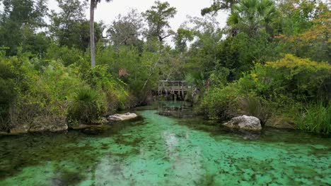 Drohnenaufnahme,-Die-Stationär-über-Dem-Kristallklaren-Wasser-Von-Pitt-Springs-Im-Panhandle-Im-Nordwesten-Floridas-Schwebt-Und-In-Richtung-Econfina-Creek-Blickt