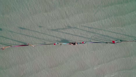 woman laying in hammock above shallow water, holbox beach, top down