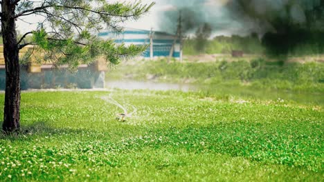 watering the green lawn with a sprayer