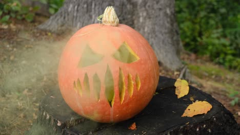 carved spooky big pumpkin with yellow smoke coming out of holes for spooky and evil effect, atmosphere of holiday. concept autumn of jack o lantern for halloween.