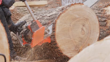 woodcutter saws tree with electric chain saw on sawmill. chainsaw used in activities such as tree felling, pruning, cutting firebreaks in wildland fire suppression, and harvesting of firewood.