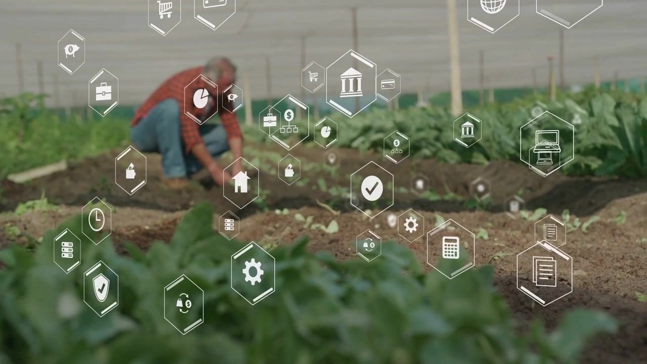 Fazendeiro ajoelhado cuidando de plantas em uma estufa, com um sensor criando ícones hexagonais nas mãos mostrando análises.