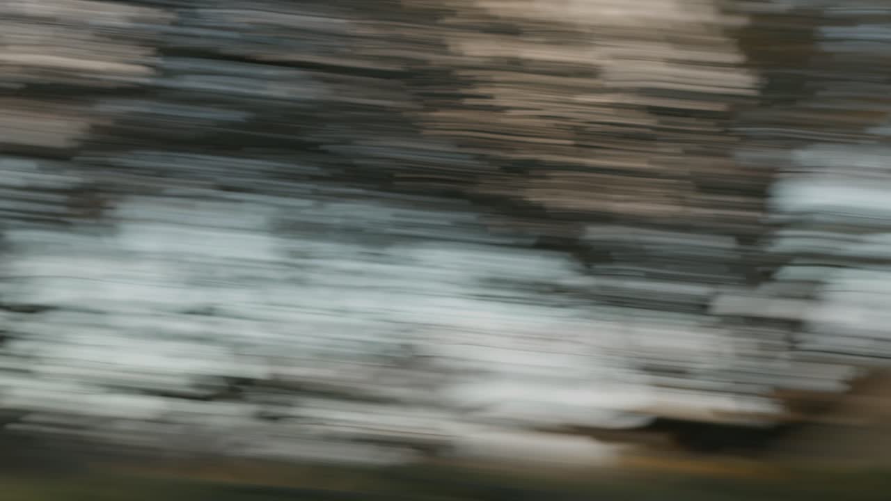 escena borrosa del bosque