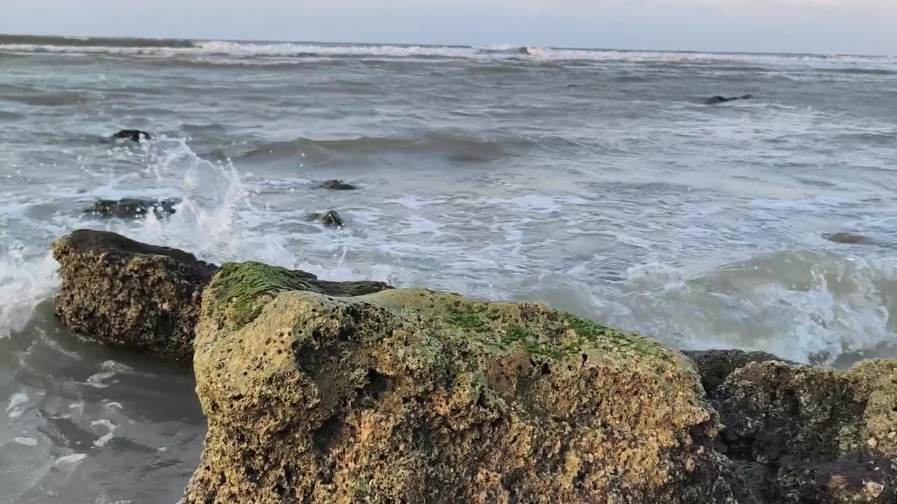Onde dell'oceano che si infrangono contro rocce muschiose sulla costa